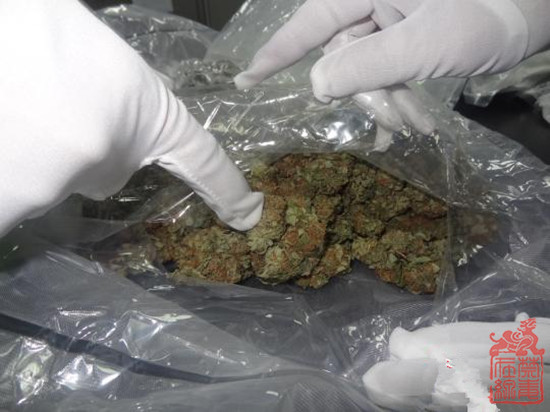 广州海关在国际邮件中查获的毒品大麻花